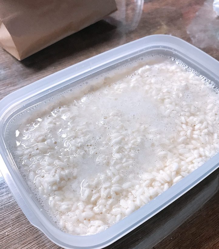 手作り塩麹キット
